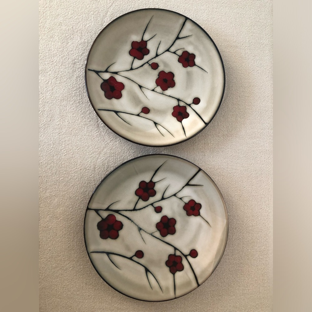 Pfaltzgraff Studio Aster Set of 2  dinner Plates 11’